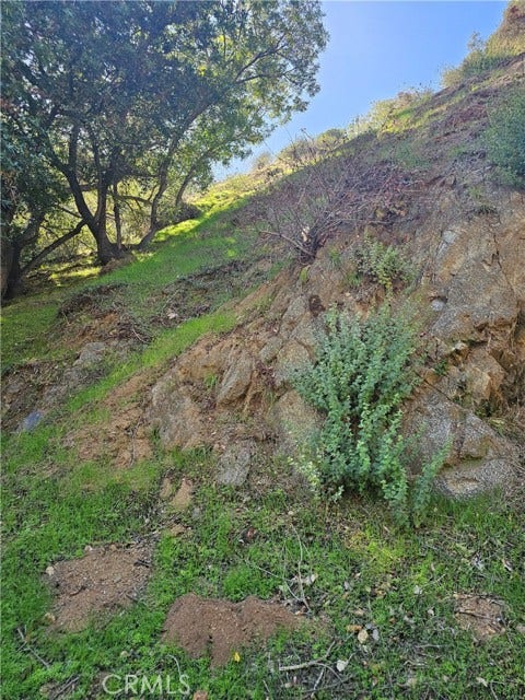 Property photo for 2145 Laurel canyon BLVD, Los Angeles, CA