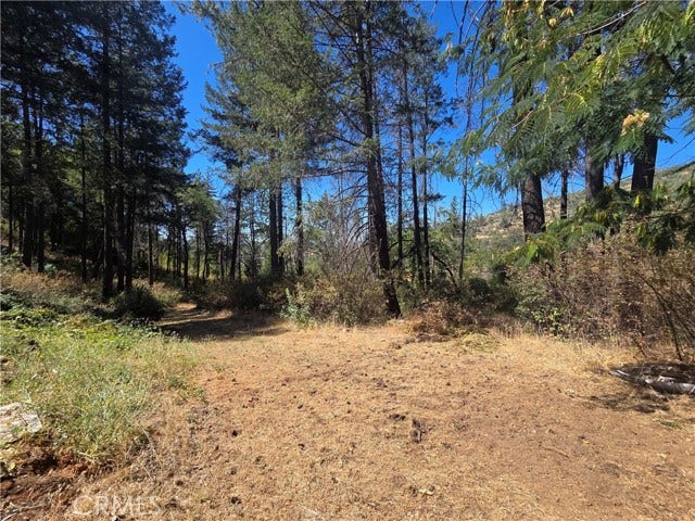 11605 Miller Peak RD, Oroville, CA 95965