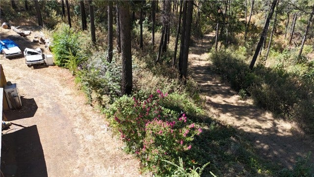11605 Miller Peak RD, Oroville, CA 95965
