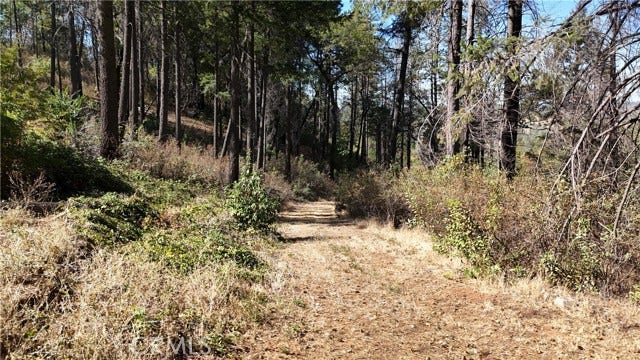 11605 Miller Peak RD, Oroville, CA 95965
