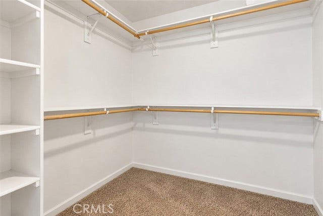 Walk-in closet. Clothes have been digitally removed.