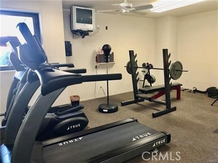 2121 Beloit, #205, Los Angeles, CA 90025 2121 Beloit, #205, Los Angeles, CA 90025