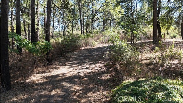 11605 Miller Peak RD, Oroville, CA 95965