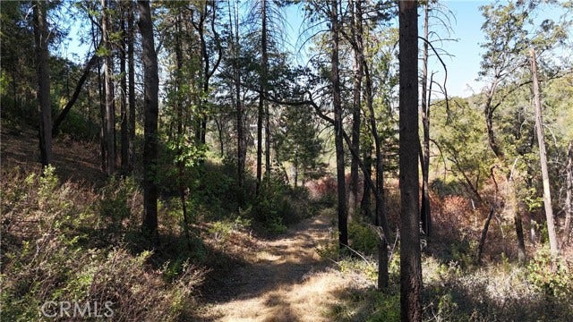 11605 Miller Peak RD, Oroville, CA 95965