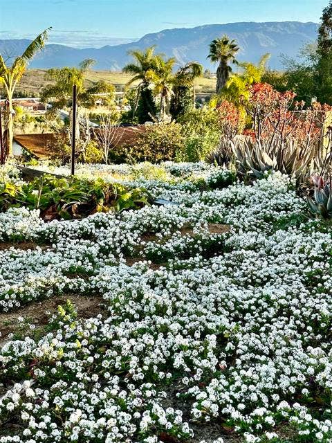 13703 Little Pond RD, Valley Center, CA 92082