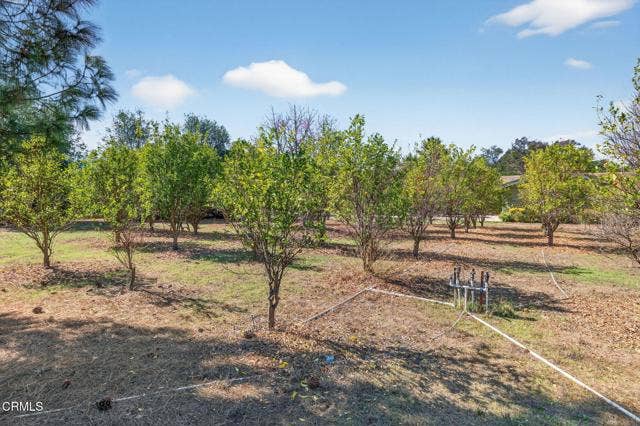 72-web-or-mls-UpmarketMedia-1125Spr-205