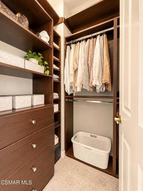 Stylish Organized Walk-In Closet