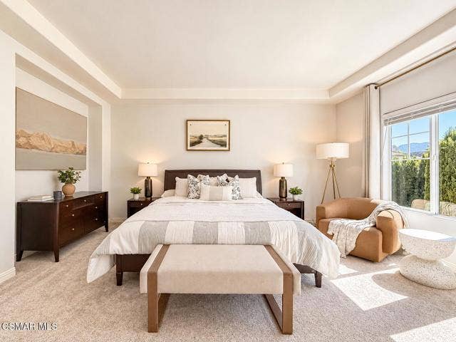 Sunlit Serene Master Bedroom
