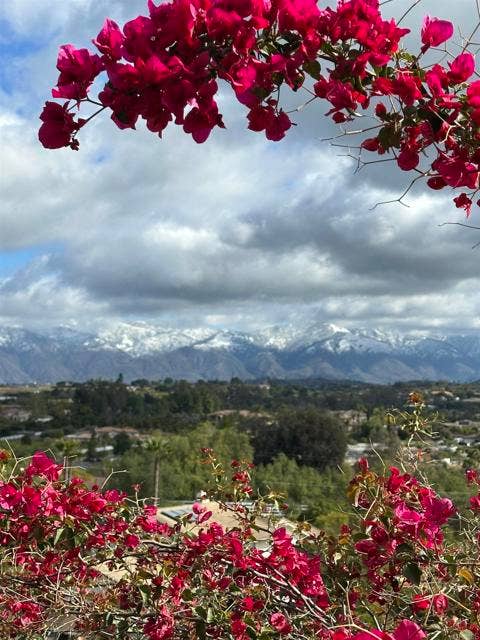 13703 Little Pond RD, Valley Center, CA 92082