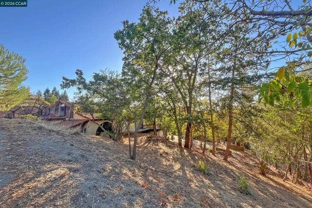 337 Livorna Heights Rd, Alamo, CA 94507